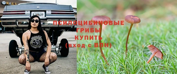 a pvp Рославль