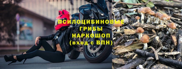 a pvp Рославль